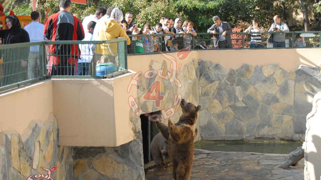 Darica Zoo Tour