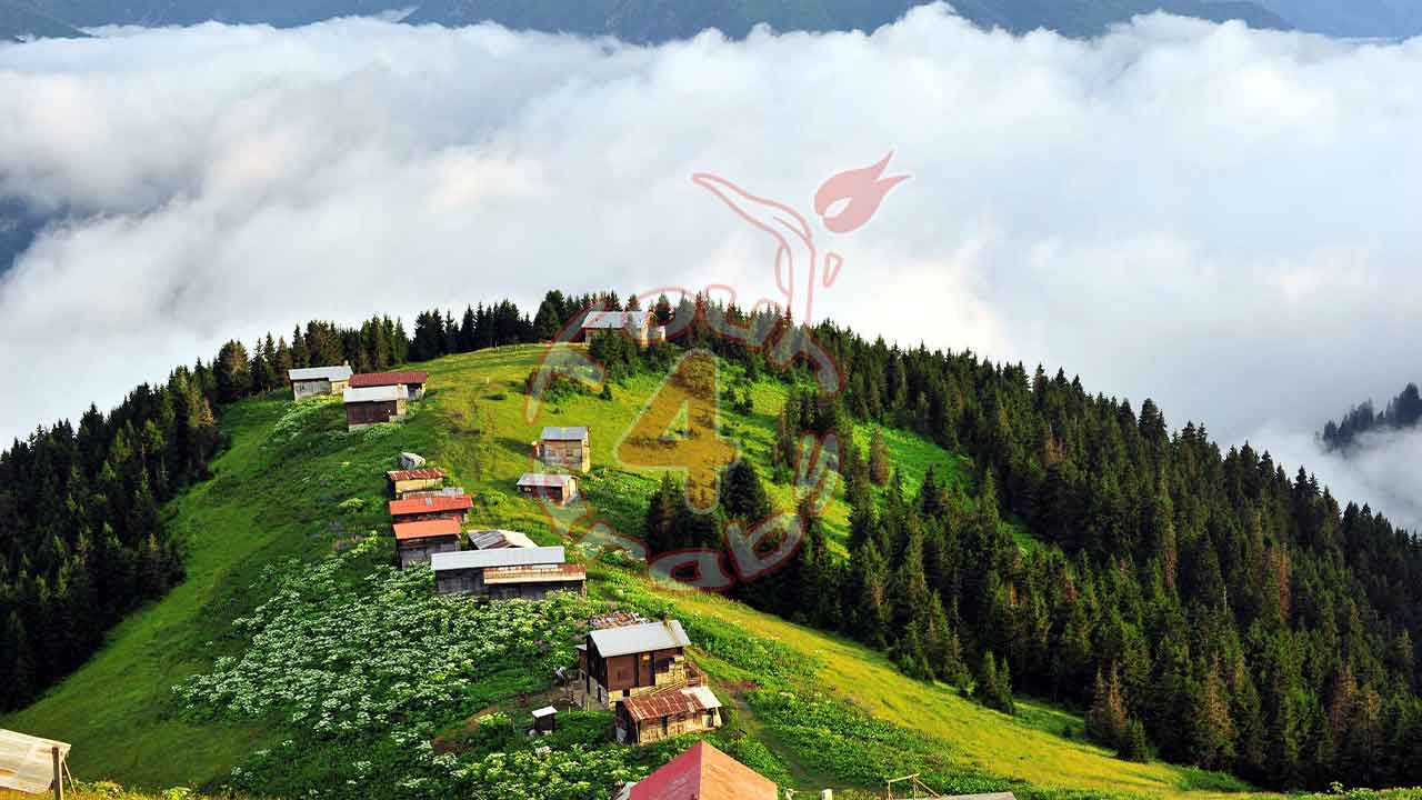 Day trips in Trabzon